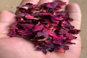 Dry Rose Petals from India